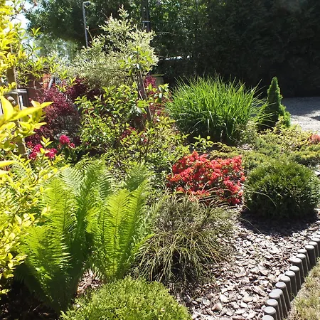 Piotrus Pan * 니에초르체